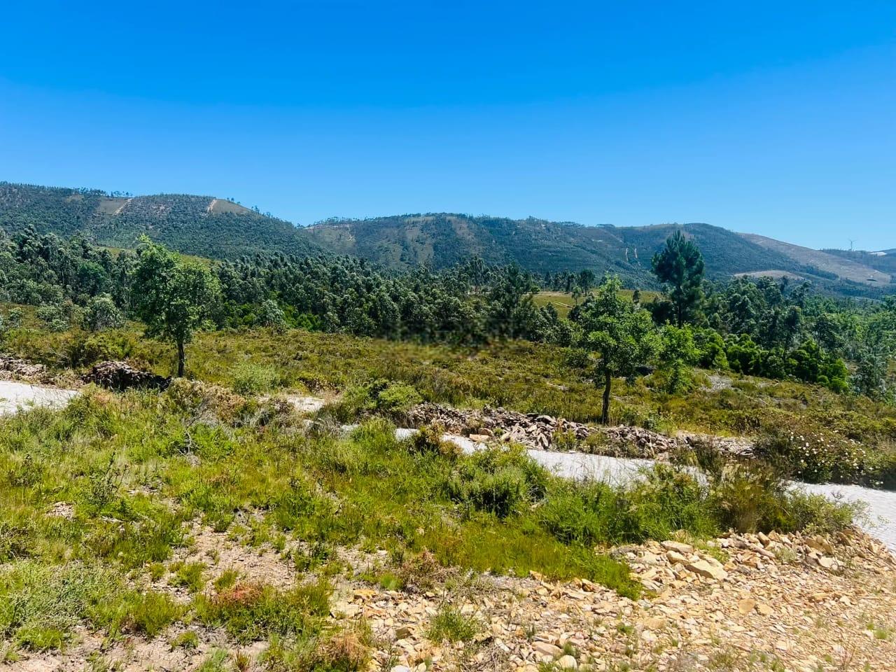 Terreno Rustico em Melres - Image# 1
