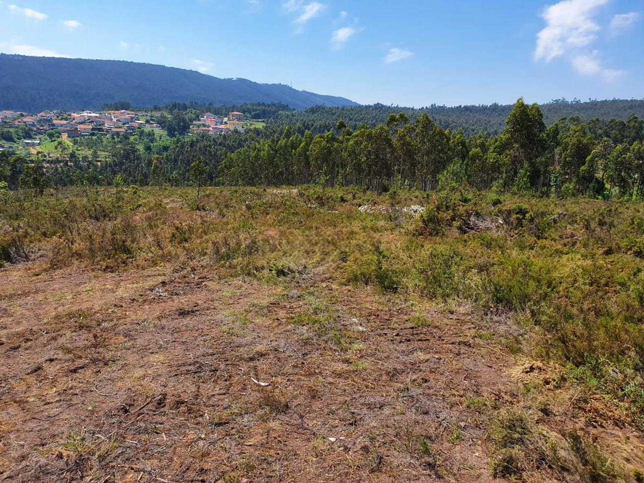 Terreno Rustico em Melres - Image# 1