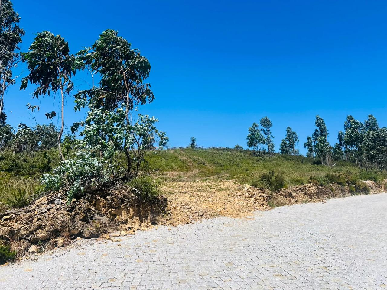 Terreno Rustico em Melres - Image# 1